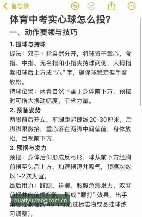 华体育平台官方入口实用指南：从新手到高手的必备操作技巧