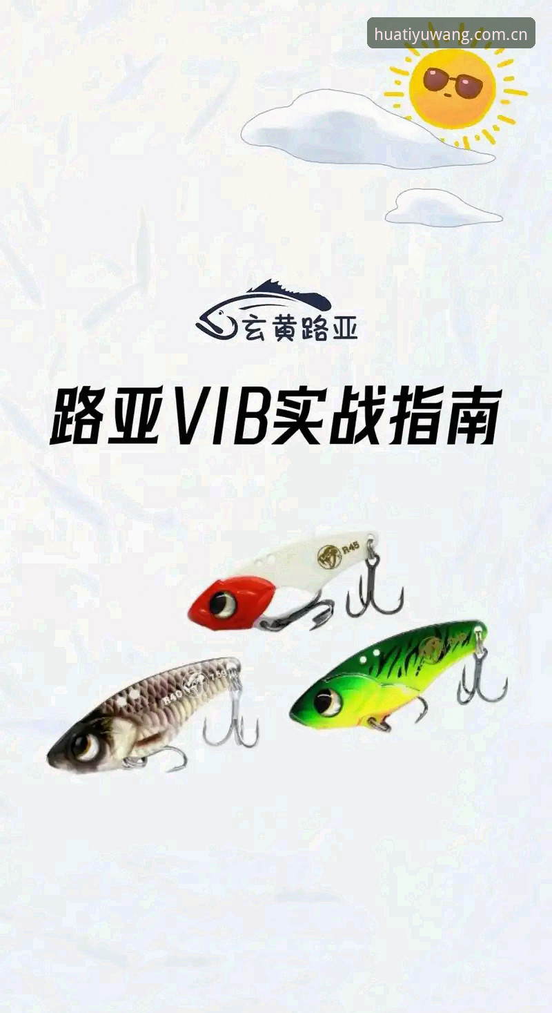 华体育网更新全面解析：从官方入口到最新版本下载的实战指南