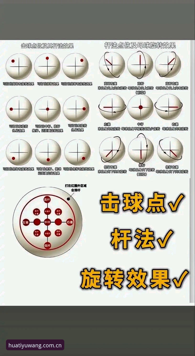 华体育平台使用教程：从入门到精通的五大实用技巧